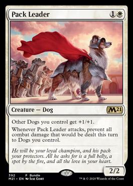 BUNDLE CORE SET 2021