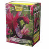 DRAGON SHIELD SAHAR ART MATTE