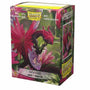 DRAGON SHIELD SAHAR ART MATTE