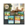 Mtg Secret Lair Drop Series - Every Dog Has Its Day - Foil