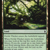 Fertile Thicket [Battle for Zendikar]