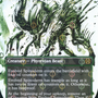 Evolved Spinoderm (Borderless Ichor Step-and-Compleat Foil) [Phyrexia: All Will Be One]