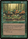 Elven Riders (French) - 