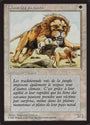 Savannah Lions [Foreign Black Border] 