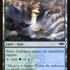 Simic Guildgate (257/259) [Ravnica Allegiance]
