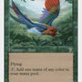 Birds of Paradise [Seventh Edition] - Japones