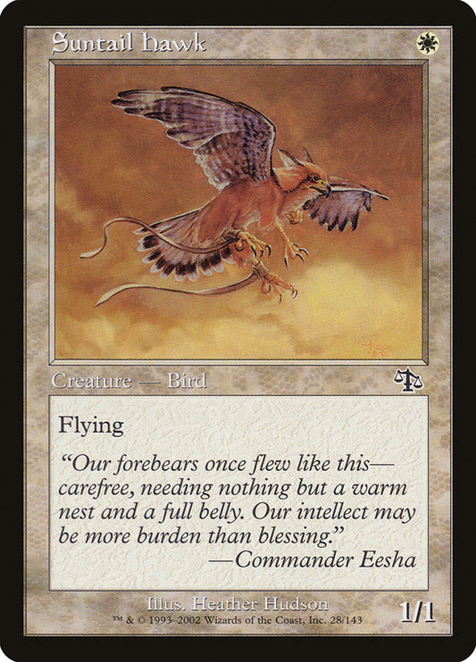Suntail Hawk [Judgment] - Español