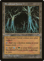 Skyshroud Forest [Tempest]