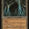 Skyshroud Forest [Tempest]