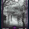 Swamp (272) [Innistrad: Midnight Hunt]