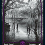 Swamp (272) [Innistrad: Midnight Hunt]