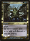Cartas-magic-cartas-pokemon-coleccionables