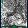 Forest (276) [Innistrad: Crimson Vow]