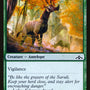 Wary Okapi [Guilds of Ravnica]