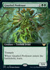 Gnarled Professor (Extended Art) [Strixhaven: School of Mages]