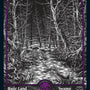 Swamp (272) [Innistrad: Crimson Vow]