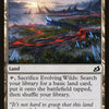 Evolving Wilds [Ikoria: Lair of Behemoths]
