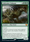 Cartas-magic-cartas-pokemon-coleccionables
