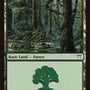 Forest (305) [Champions of Kamigawa]