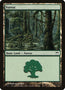 Forest (305) [Champions of Kamigawa]