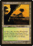 Windswept Heath - Español [Onslaught]