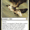 Cartographer's Hawk [Commander 2020]