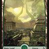 Forest (254) [Amonkhet]