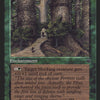 Elven Fortress (Randy Asplund-Faith) [Fallen Empires]