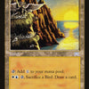 Seaside Haven [Onslaught]