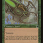 Goliath Beetle [Urza's Destiny]