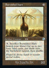 Cartas-magic-cartas-pokemon-coleccionables