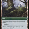 Vastwood Fortification // Vastwood Thicket [Zendikar Rising]