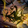 Sigarda, Champion of Light Art Card (Gold-Stamped Signature) [Innistrad: Midnight Hunt Art Series]