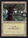 Forest (A) [Foreign Black Border] 