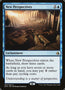 New Perspectives [Amonkhet] 