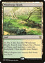 Windswept Heath [Khans of Tarkir]