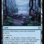 Littjara Mirrorlake [Kaldheim]