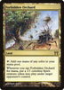 Forbidden Orchard - Español [Champions of Kamigawa]