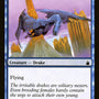 Snapping Drake [Ravnica: City of Guilds]