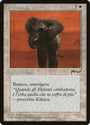 War Elephant (Italian) - 