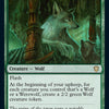 Cartas-magic-cartas-pokemon-coleccionables