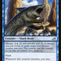 Pouncing Shoreshark [Ikoria: Lair of Behemoths]