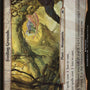 Feeding Grounds (Planes) [Planechase Anthology Planes]