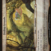 Feeding Grounds (Planes) [Planechase Anthology Planes]