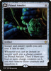 Primal Amulet // Primal Wellspring - Español [Ixalan]