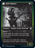 Bird Admirer // Wing Shredder [Innistrad: Double Feature]