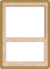 1996 World Championship Blank Card [World Championship Decks]