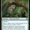 Cartas-magic-cartas-pokemon-coleccionables