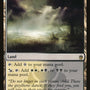 Fetid Heath [Masters 25]