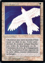 Purelace [Foreign Black Border]